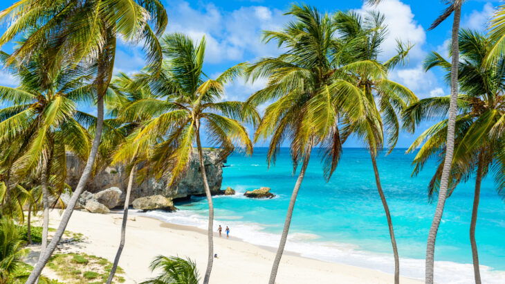 Bottom Bay, Barbados - Paradise beach on the Caribbean island of Barbados. Tropical coast with palms hanging over turquoise sea.