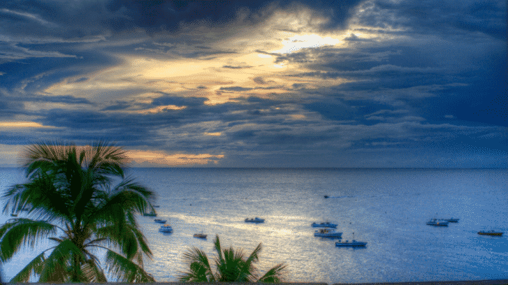 view-bay-with-boats-from-balcony-green-palm-tree-top