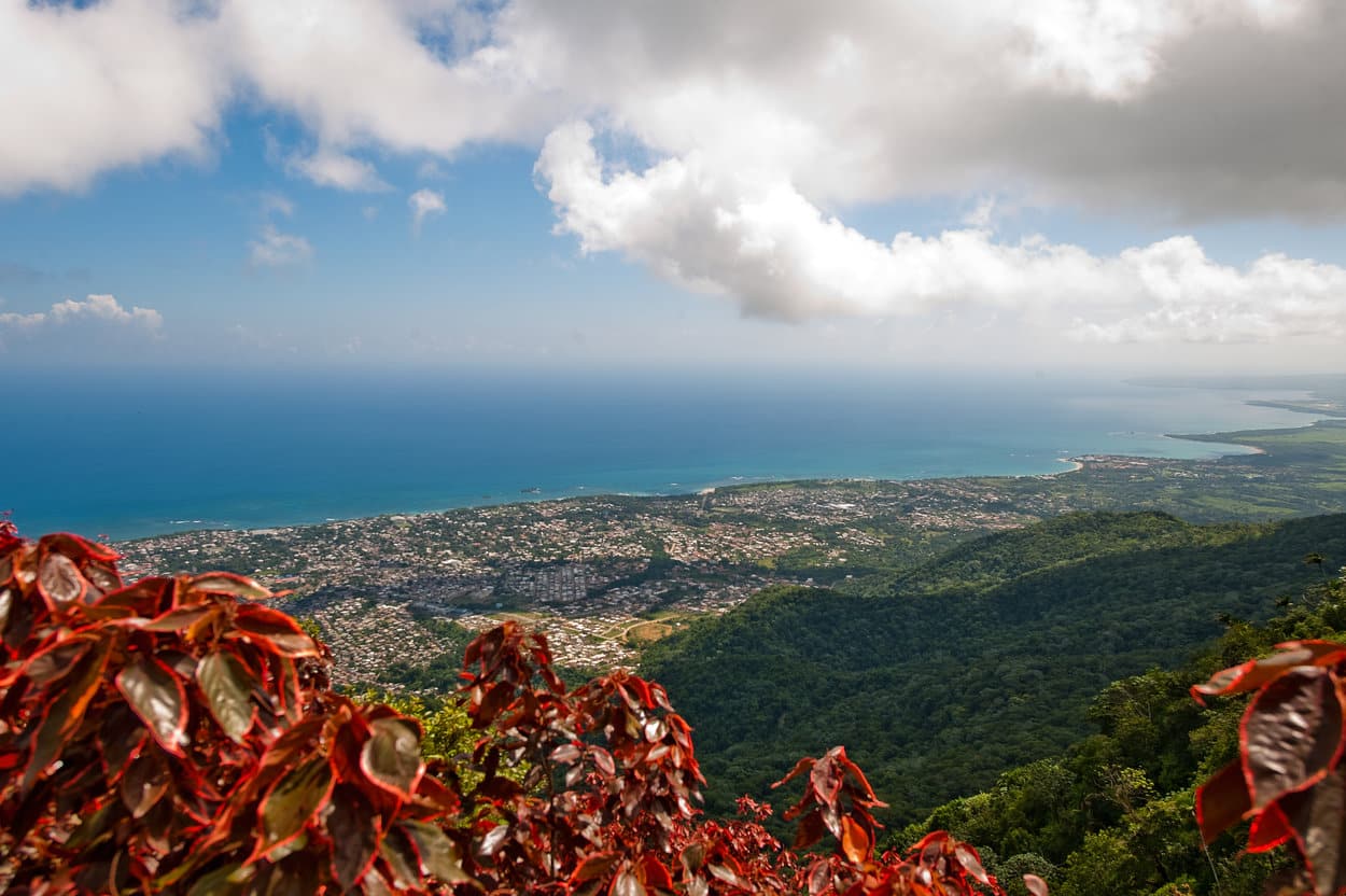 view-from-mountain-dominican-republic-red-leaves-ocean