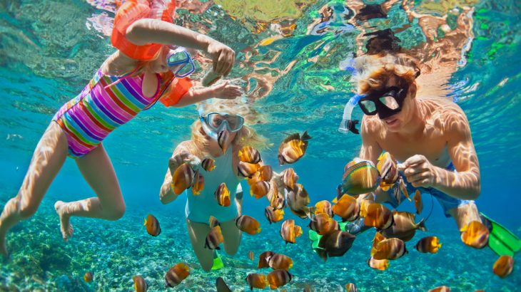 snorkeling-experience-best-beaches-dominican-republic