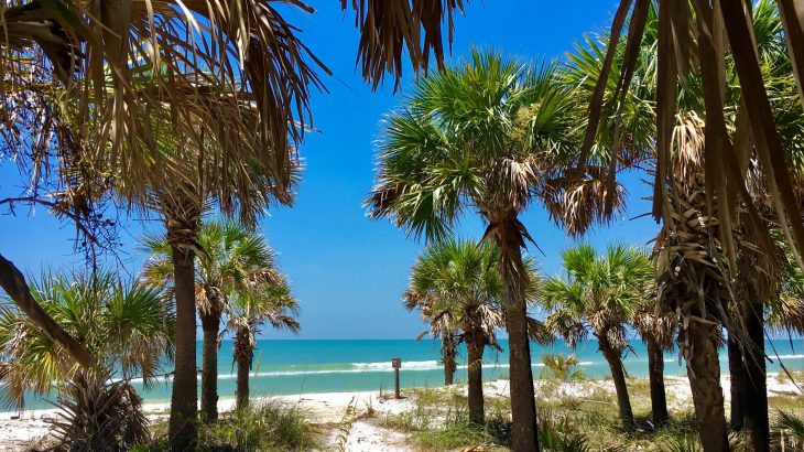 caladesi-beach-best-beaches-florida