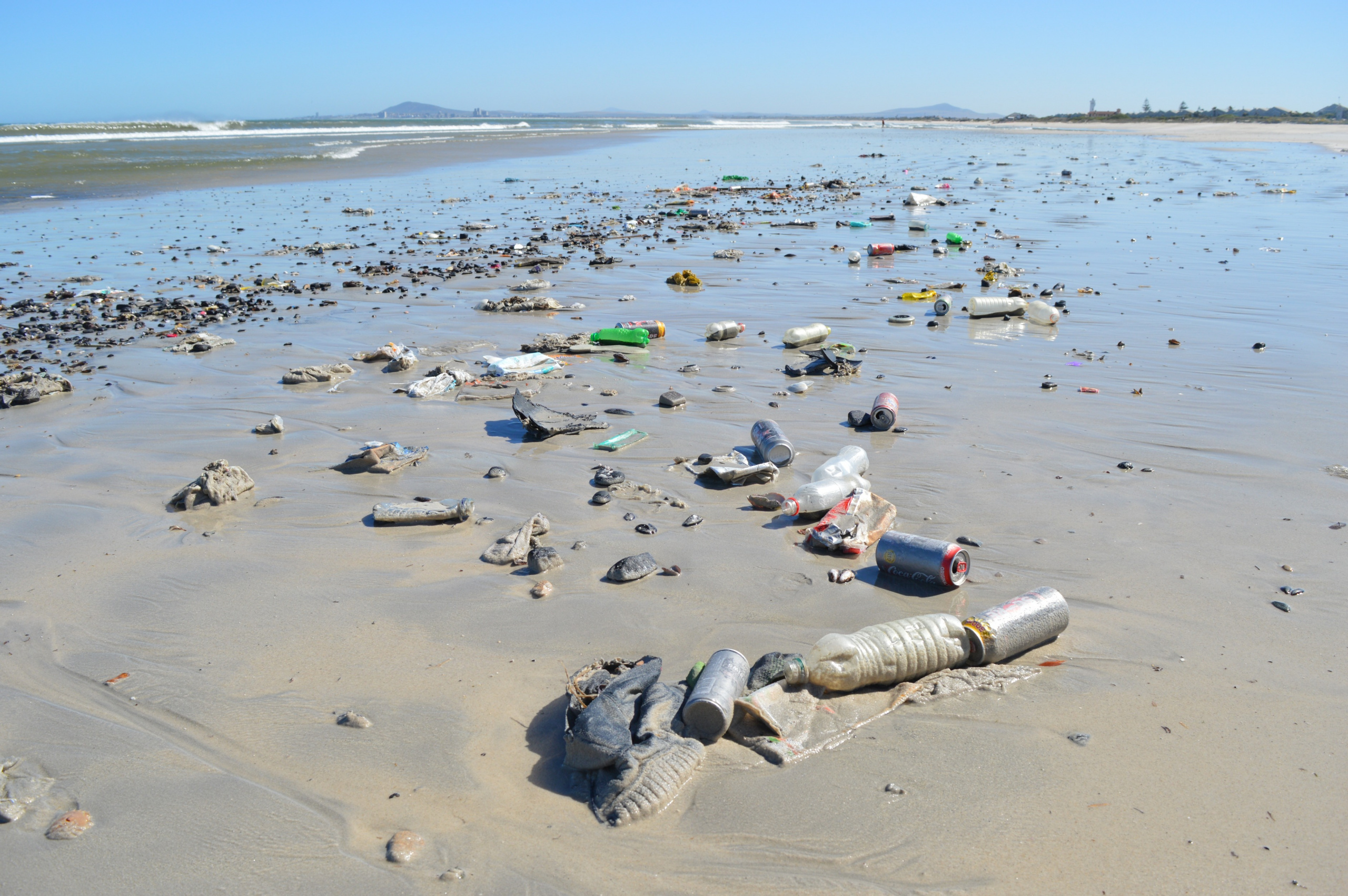 Save a Fishie beach cleanup