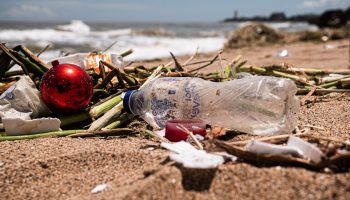 pile of trash on the shore of a beach