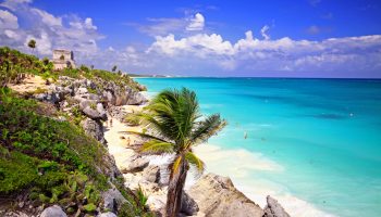 Tulum ruins over beach with palm. Tulum temple overlooking the beach. There is so much to see here and some fantastic views