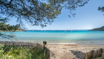 World famous beautiful Notre Dame beach (Plage Notre-Dame) on Porquerolles island (l le de Porquerolles), France