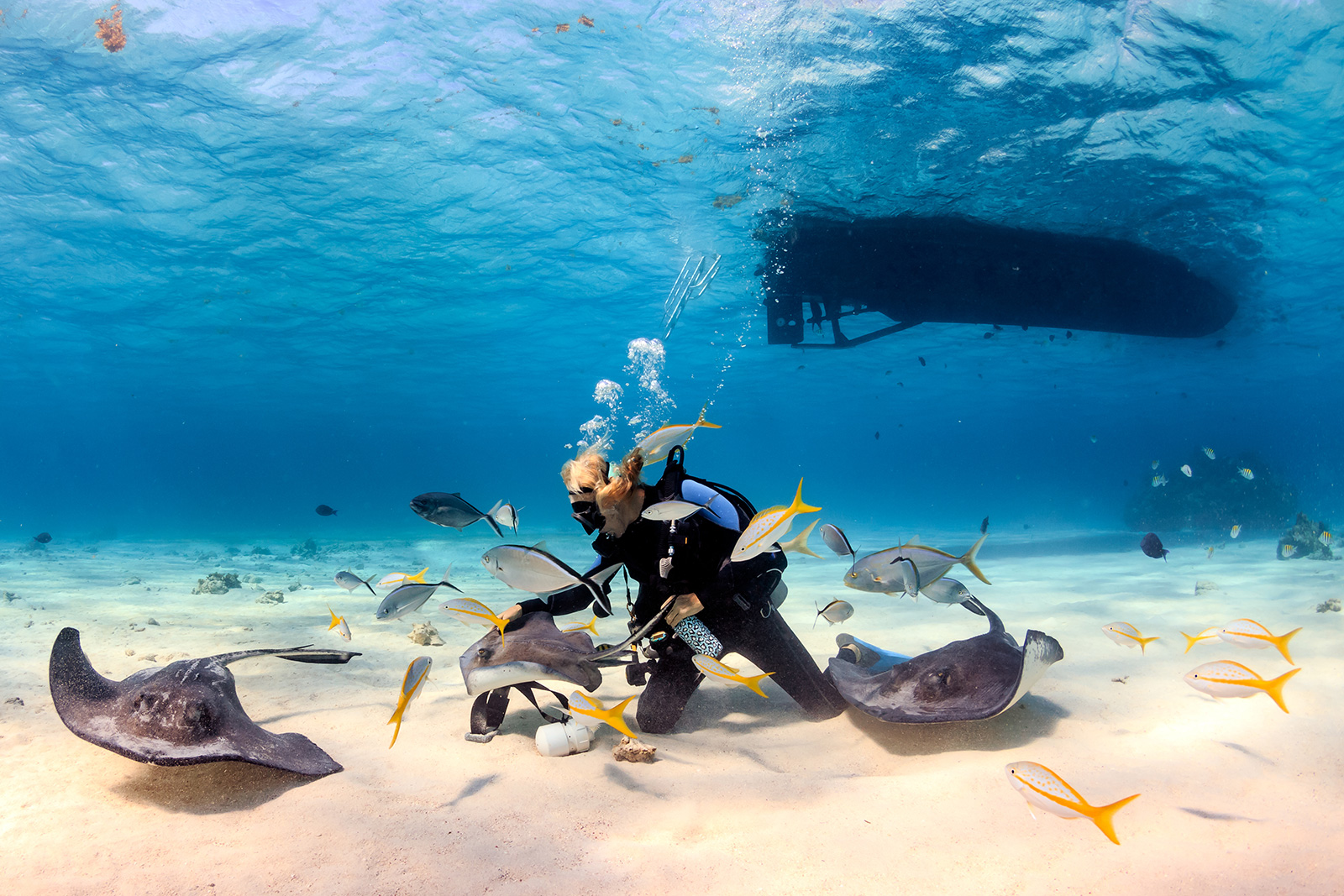 Scuba Dive At These Top Diving Spots In The Caribbean